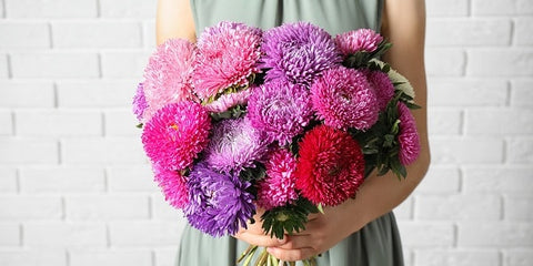 Aster Bouquet