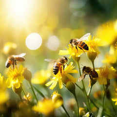 Bees pollinating flowers