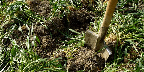 Digging in Garden