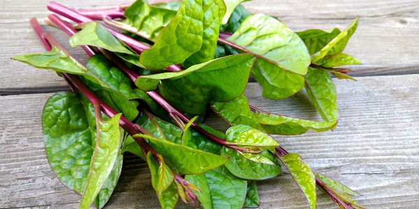 Malabar Spinach Leaves