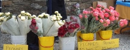 Market Poppies