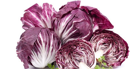 Red Chicory