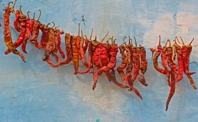 Drying chillies