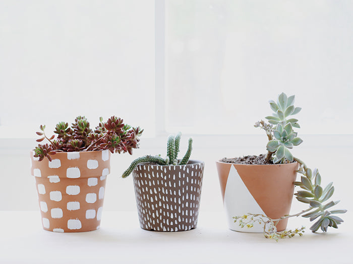 painted planter DIY