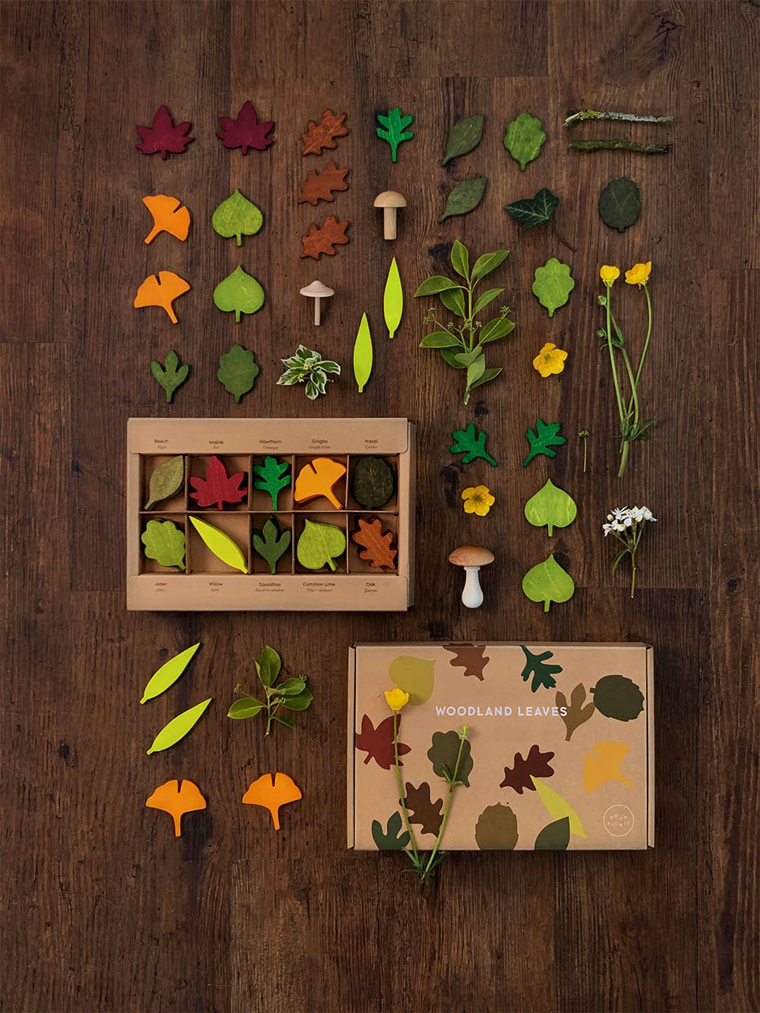 Woodland Leaves in a Box