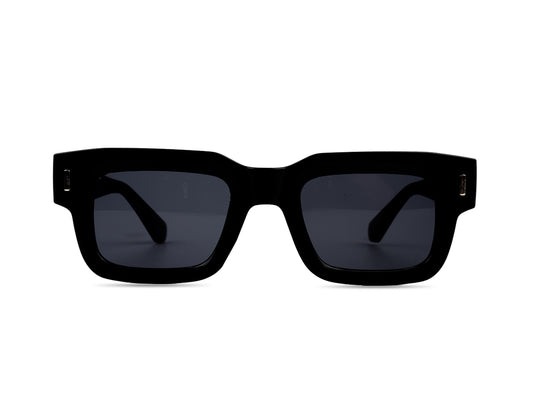 Sunglasses SG 3688