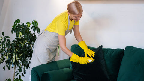 cleaning cushion