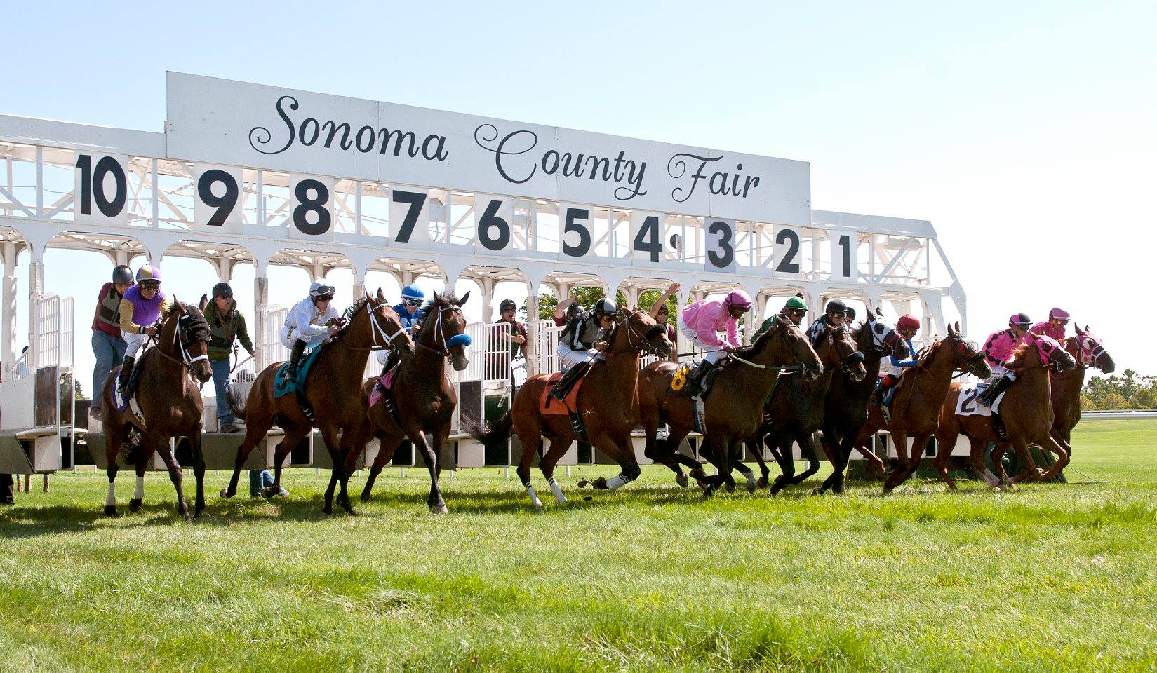 Sonoma County Horse Racing