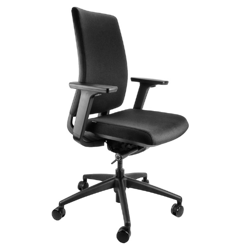 best ergonomic office chair for back pain comfort