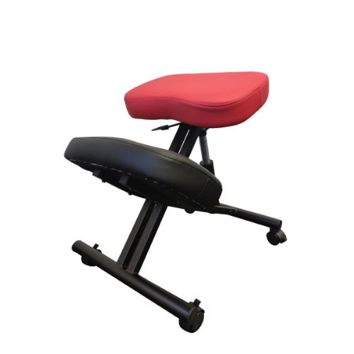 ergonomic office chairs work from home