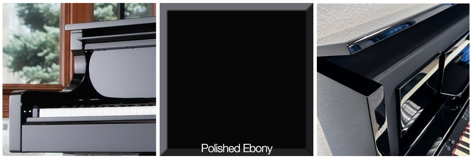Polished Ebony Color Swatches
