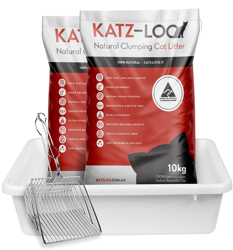 Katz-Loo Starter Pack