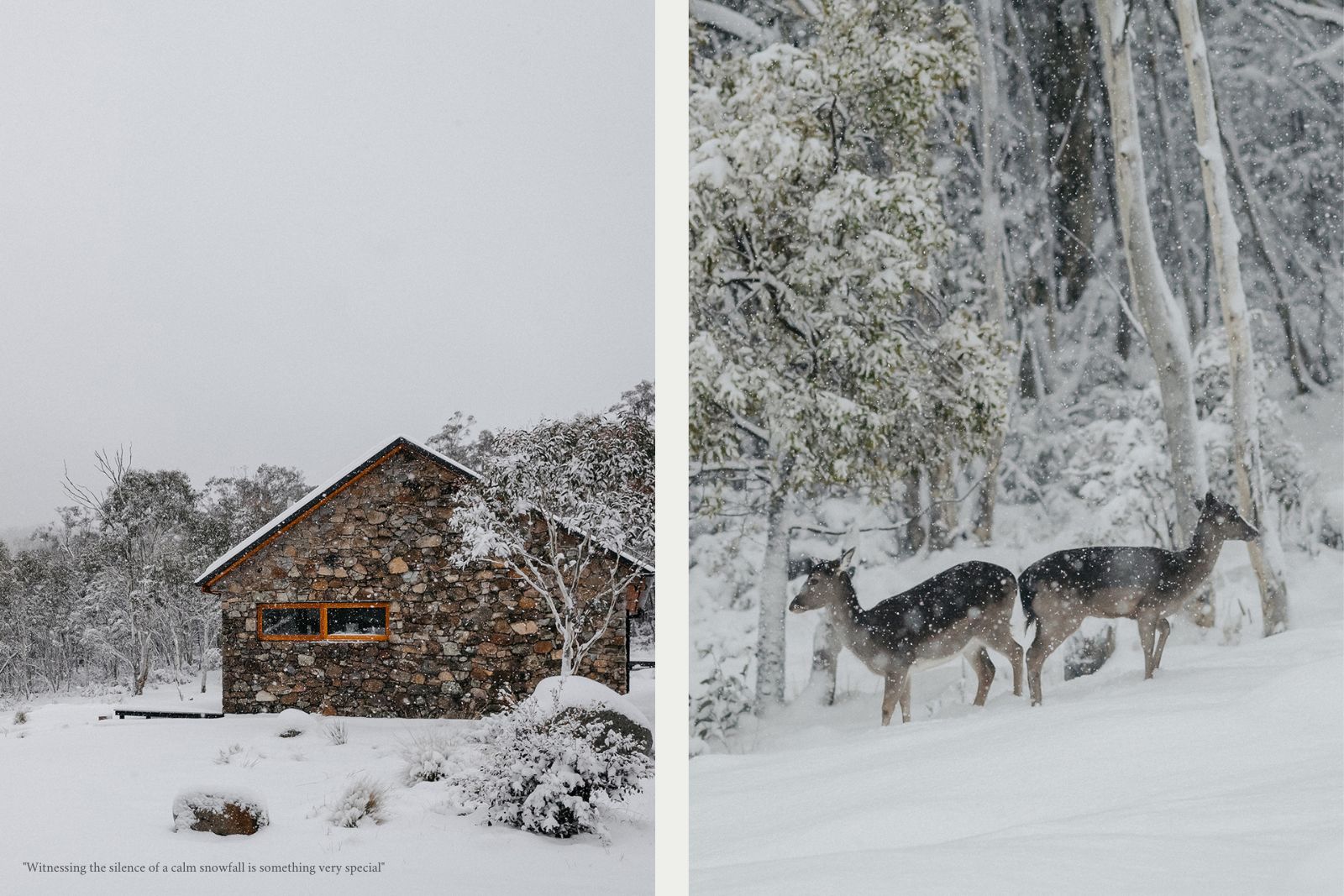 Mill Cabin in the snow