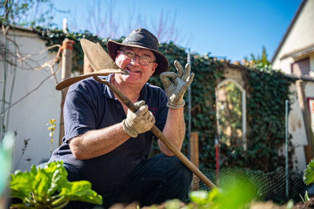 Gartencoach beim Anbauen von Kartoffeln