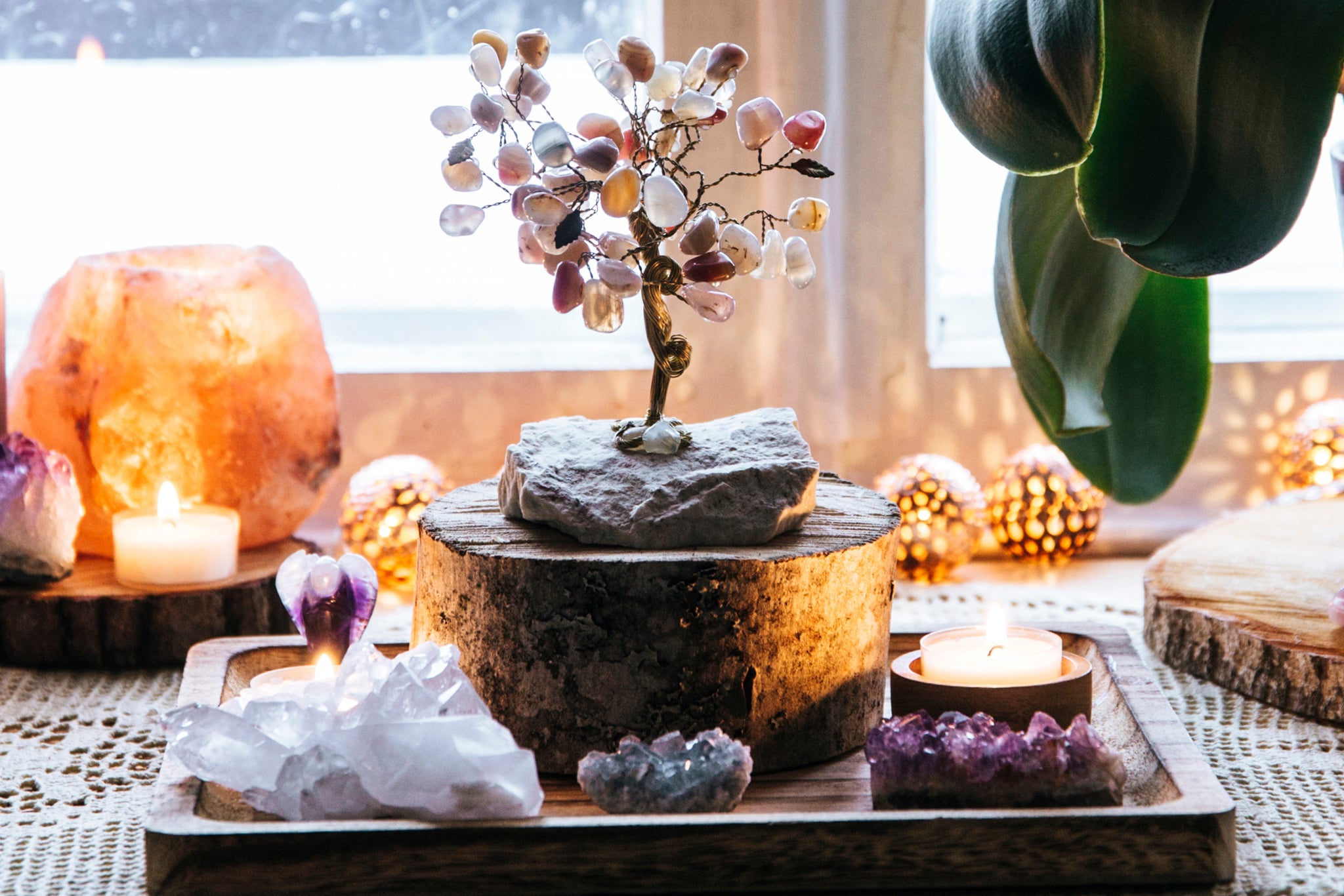 Small Crystal Tree surrounded by various crystals, plants, and a Salt Lamp