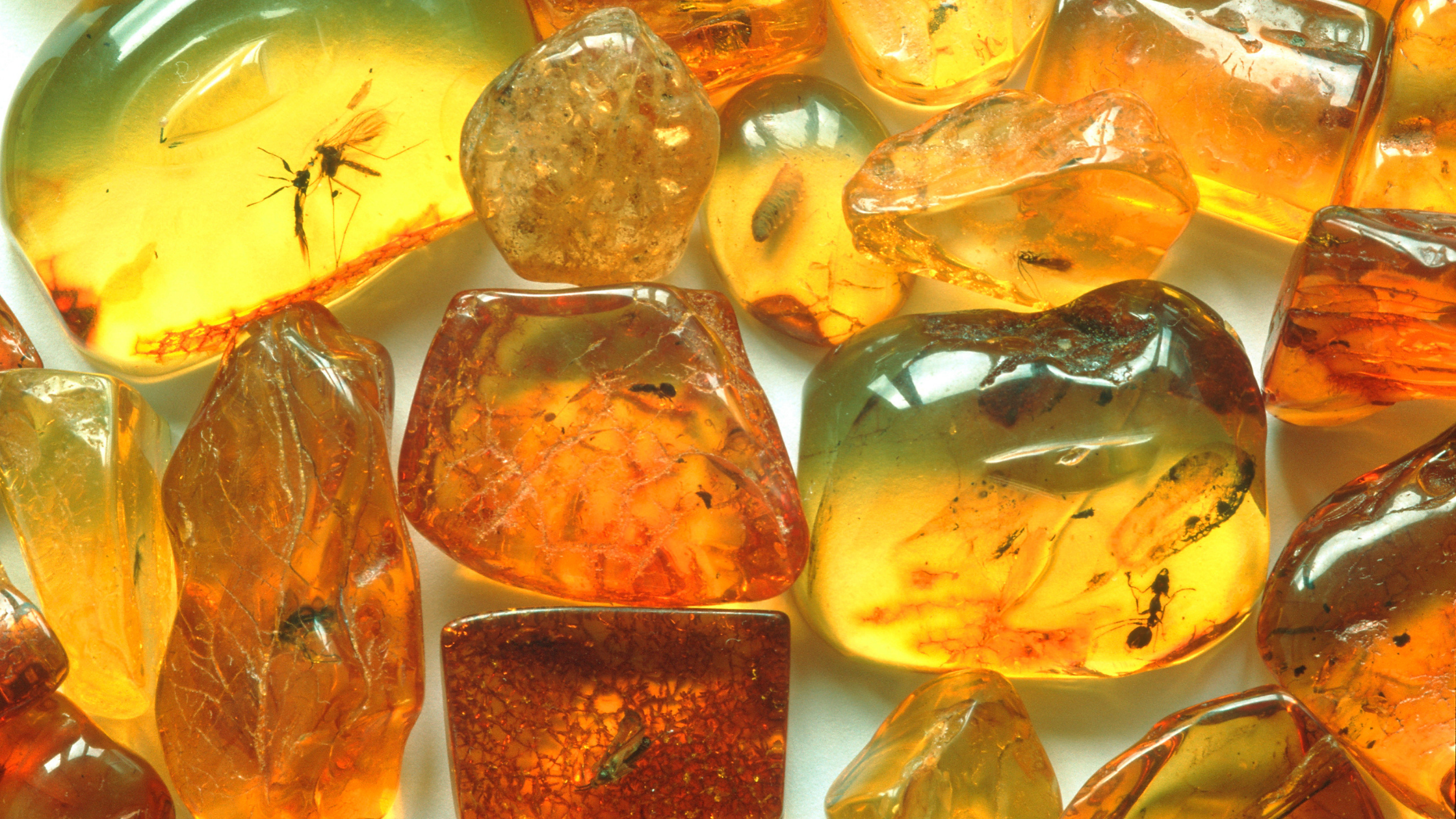 Organic gemstones