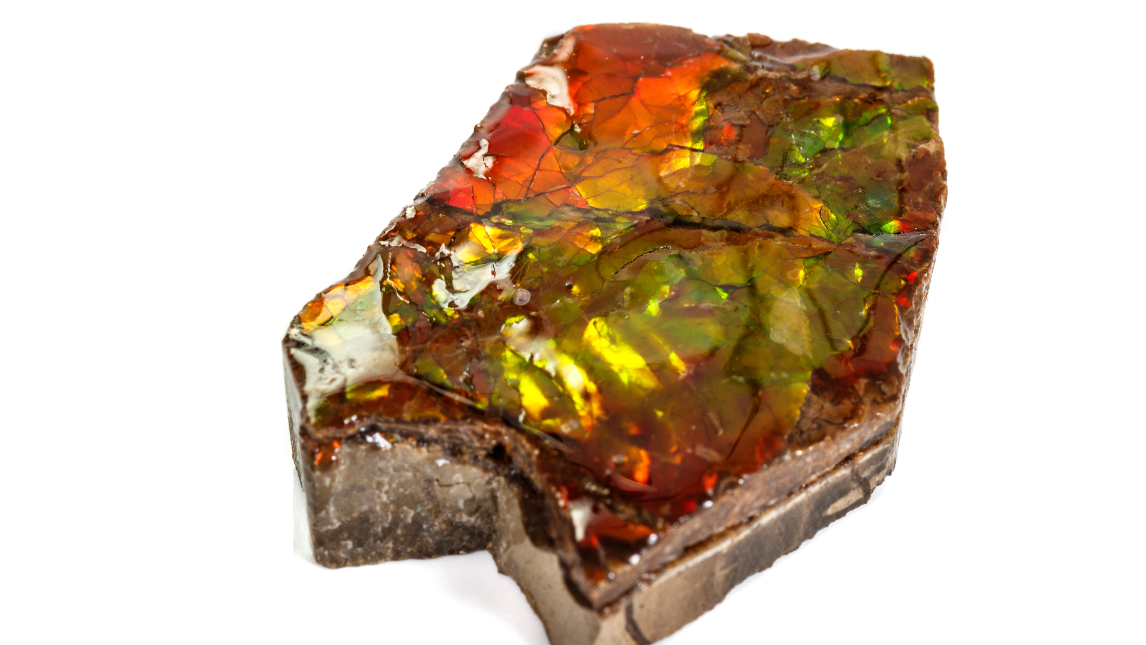 How to mine ammolite.png