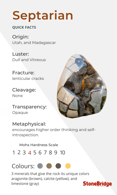 Septarian Quick Facts.png
