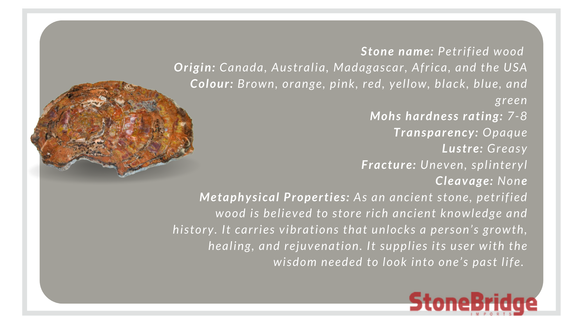 benefits of petrified wood.png