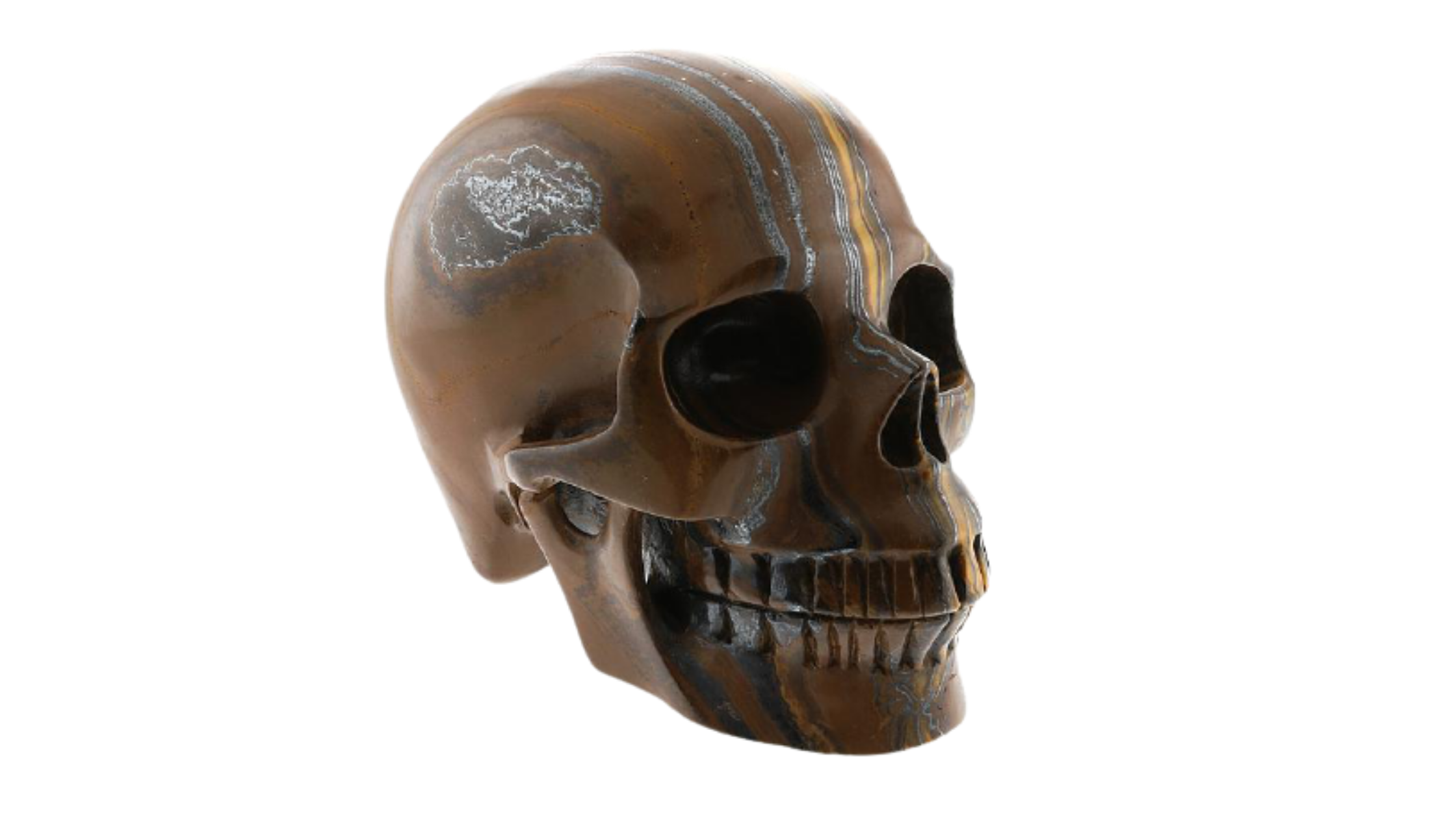 Tiger Eye Skull.png