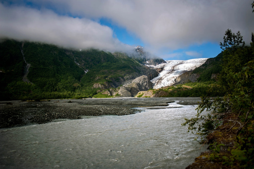 Kenai Fjords