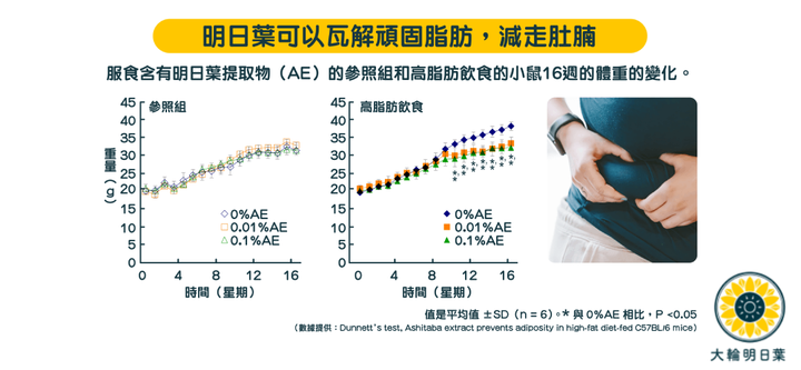 明日葉消脂減肥修身