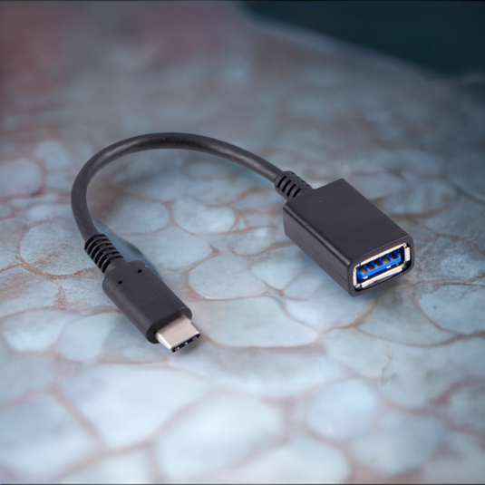 GetUSCart- Poyiccot USB C Female to Female Adapter, USB C Coupler