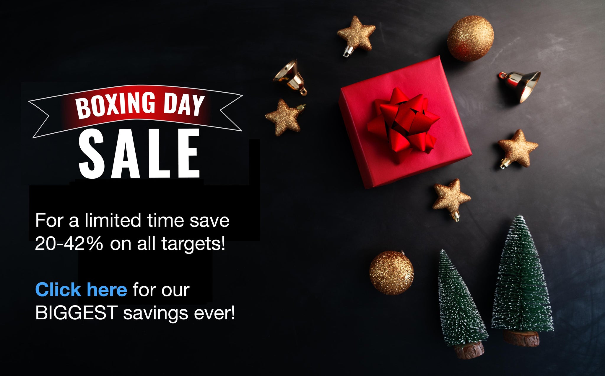 Archery Target Boxing Day Sale 