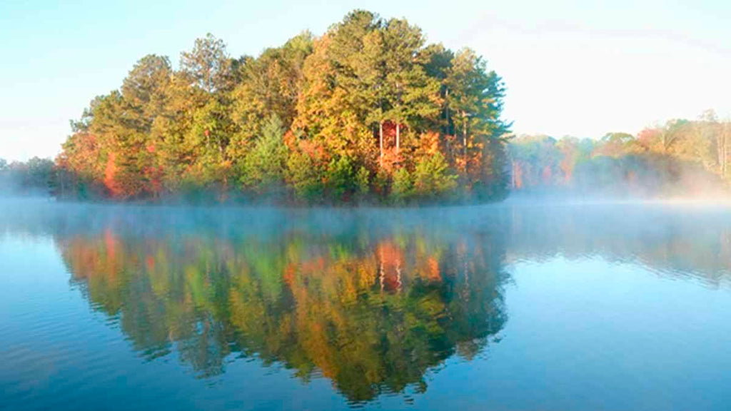 Image of main lake point on Hollis Q Lathem Reservoir