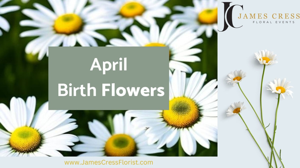 Cover photo showing April's birth flower: daisies