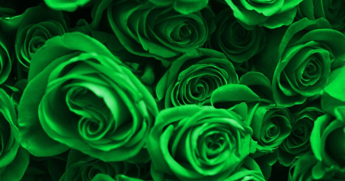 Green Rose Meaning Banner