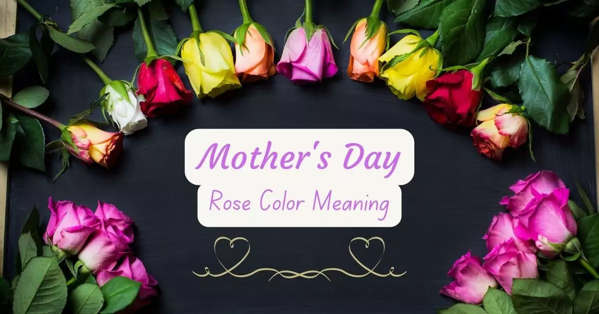 10 different color roses for mothers day