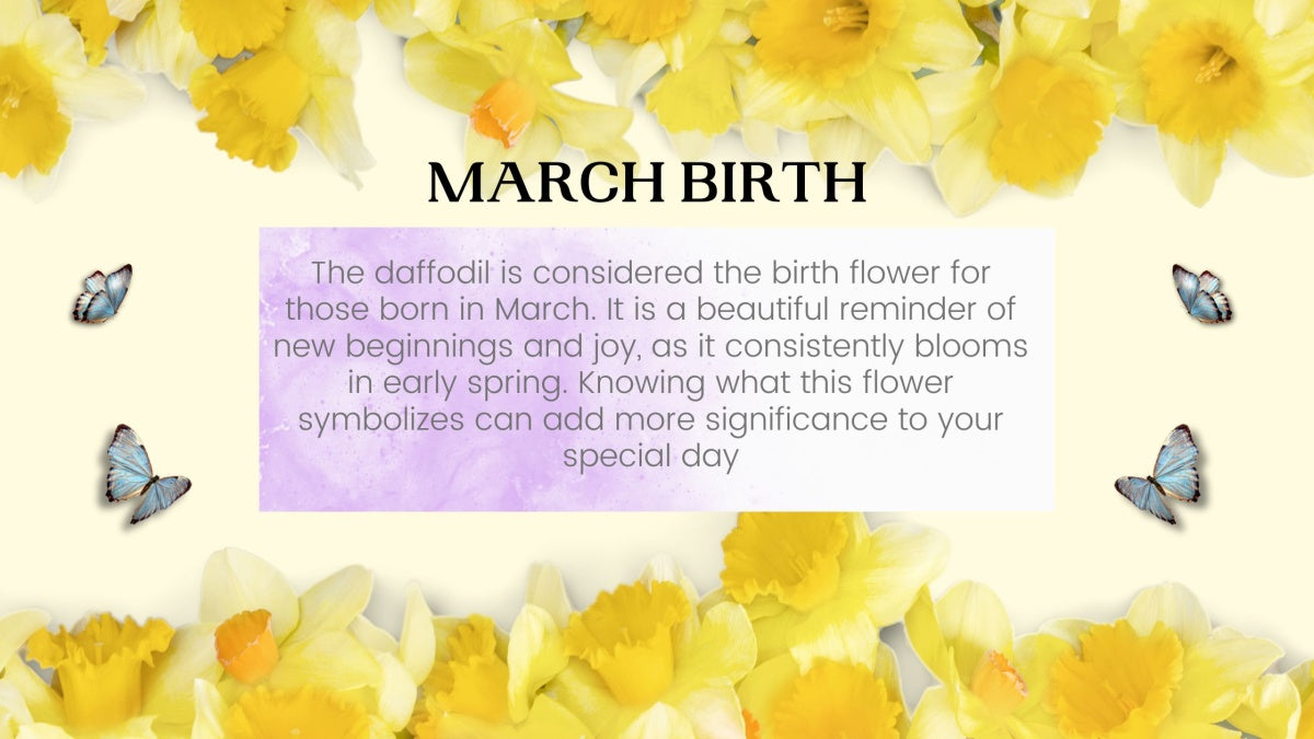 March Birthday Daffodil