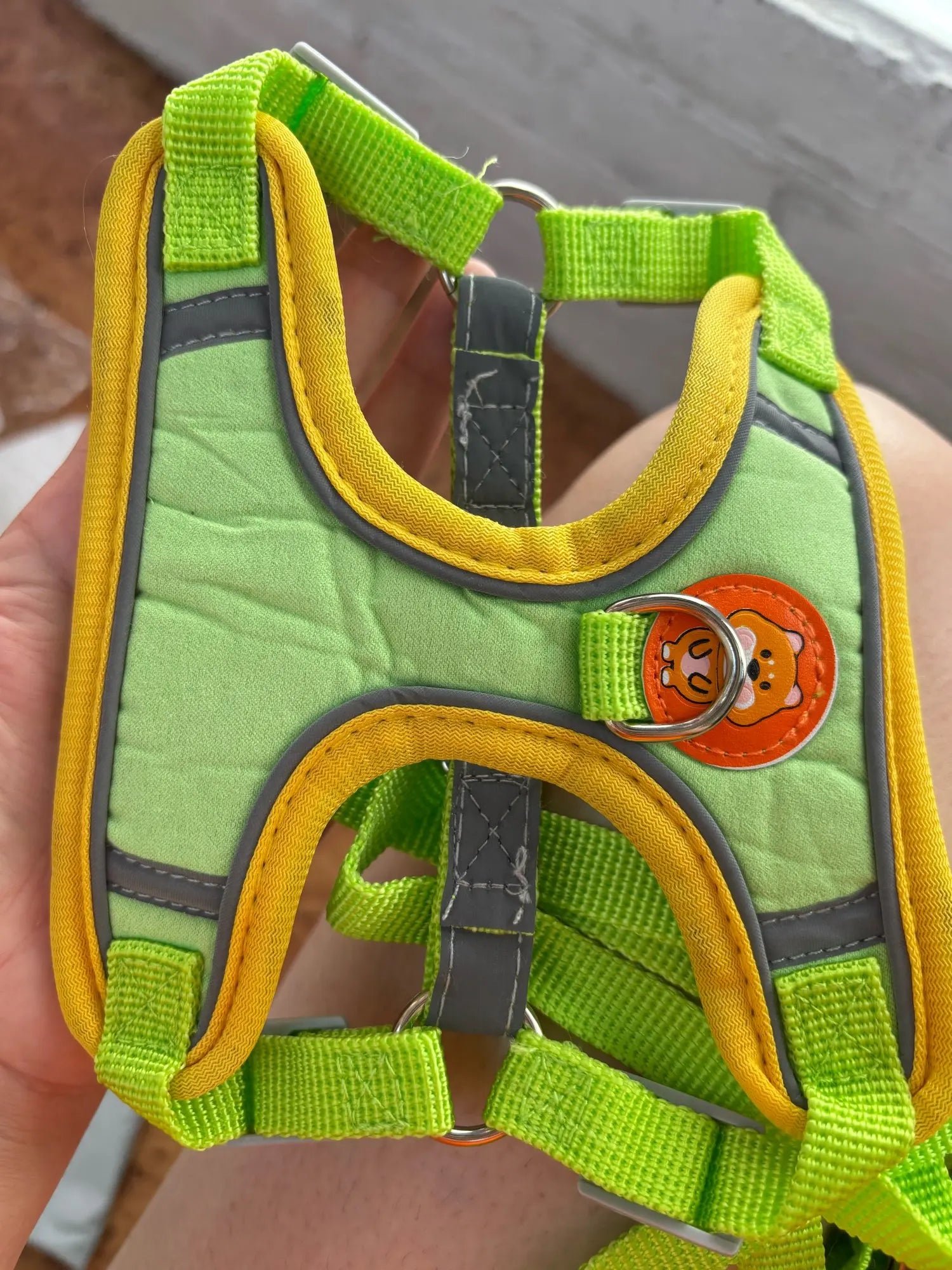 Photo client boucle métal harnais