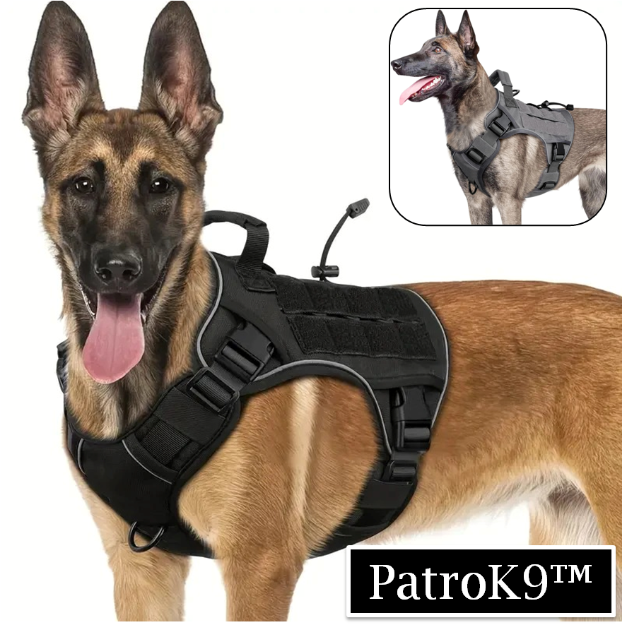 harnais-pour -chien-PatroK9-confort-robustesse-foudtoutou