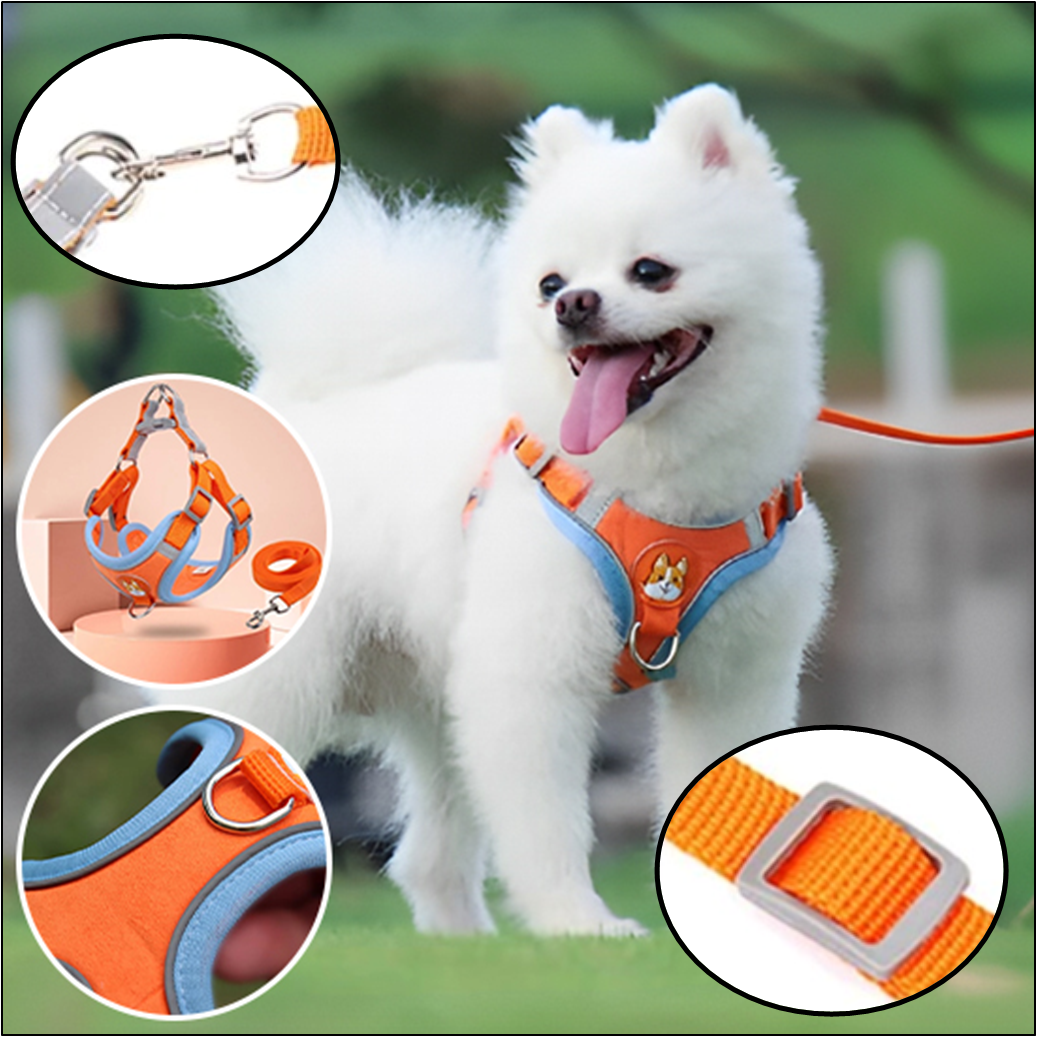 harnais-chien-réfléchissant-VisioDog-ajustable