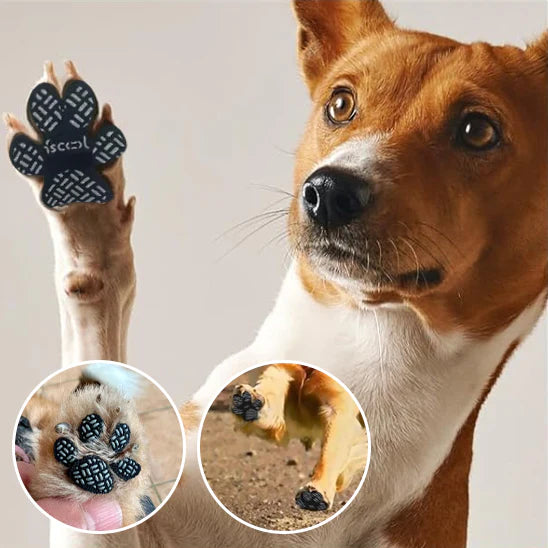 Coussinet-chien-antidérapant-FeetShield-protection-foudtoutous