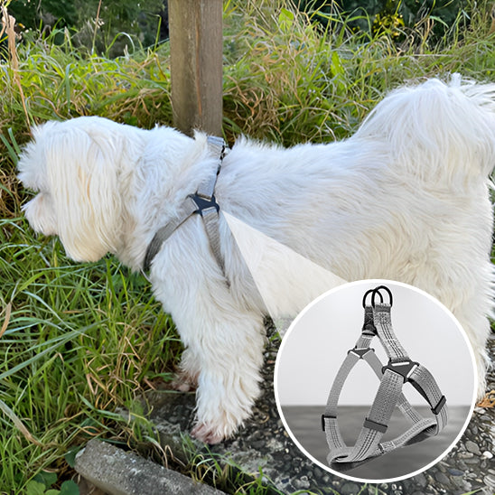 Harnais-chien-réglable-ZenPaw-conception-ergonomique