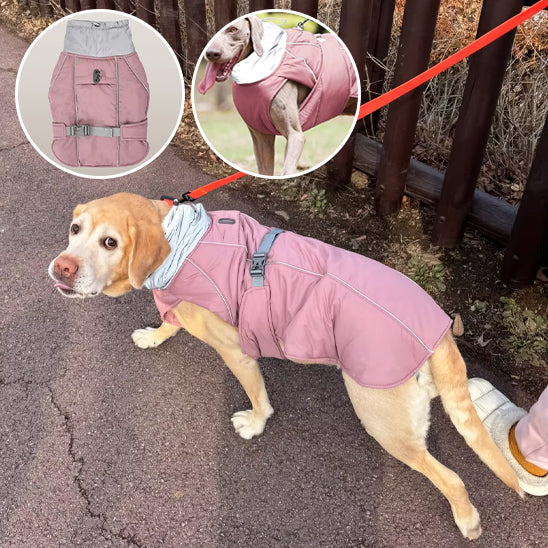 manteau-pour-chien-ProK9Koat-moderne