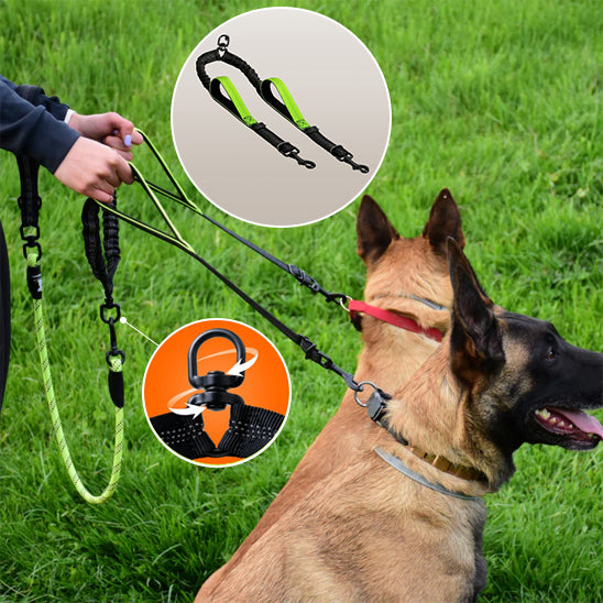 laisse-pour-chien-DoubleWoof-robuste