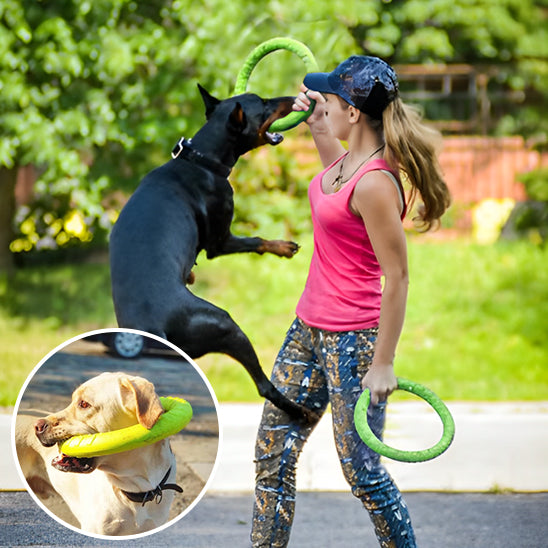 jouet-chien-anneau-flottant-Ringwa -indispensable-antistress