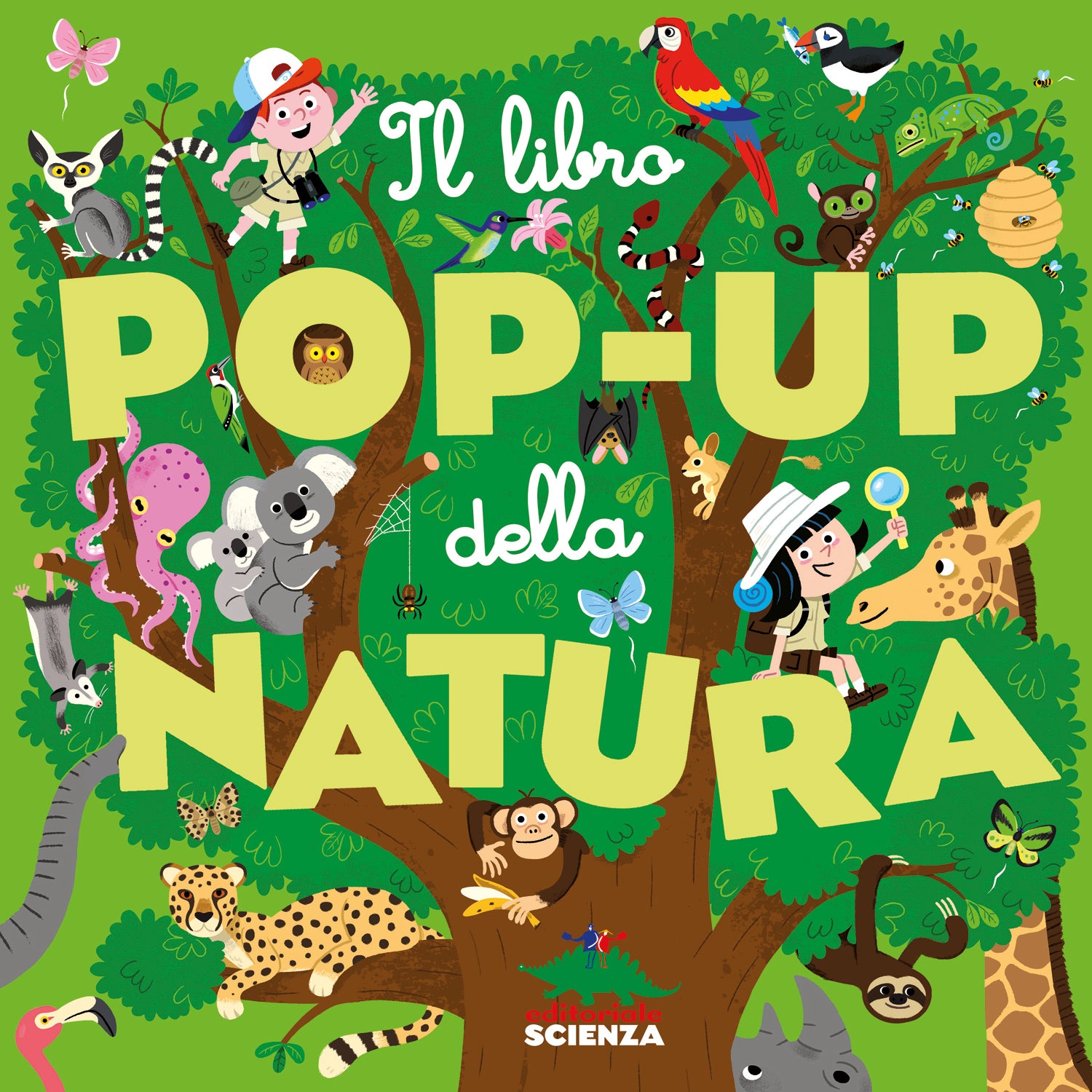 Il libro pop-up dello spazio, Divulgazione e scienza