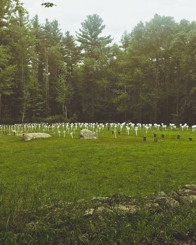 Lollipop grave markers as seen from road 