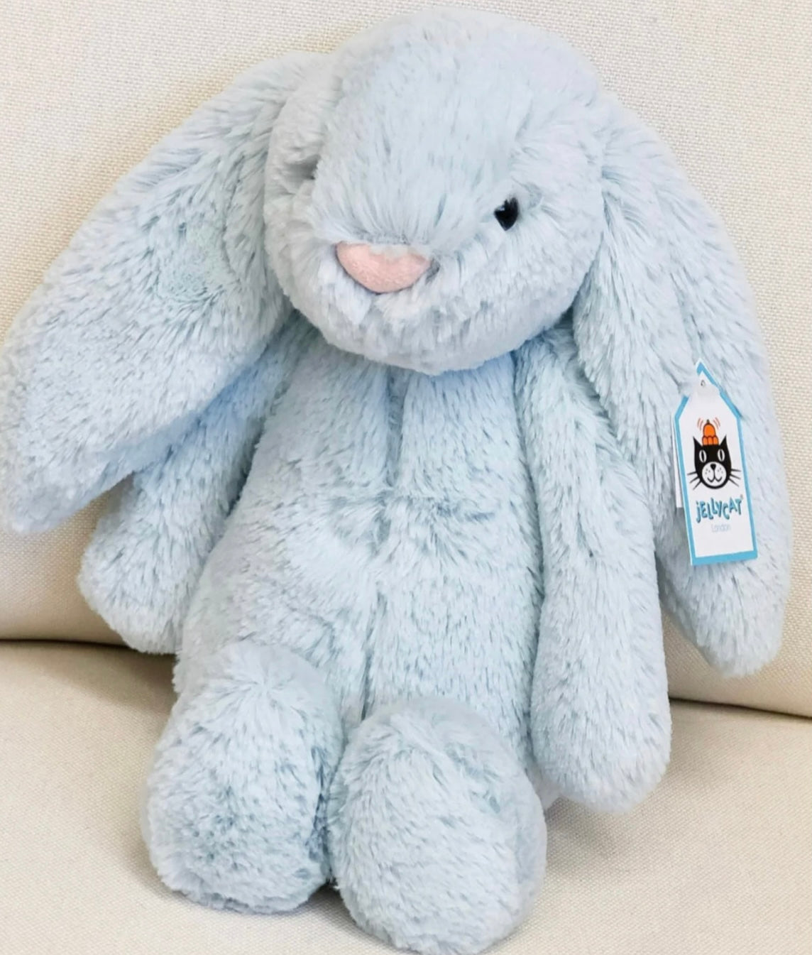 Bashful Beau Bunny