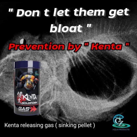 kenta-release-gas-bladder