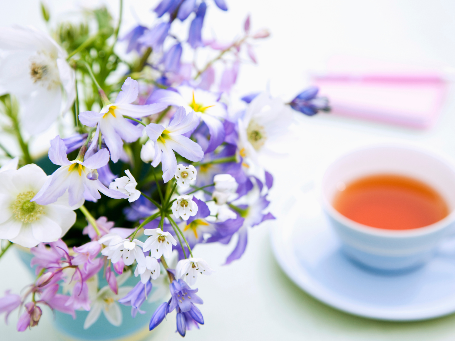 Flowers used in Tea by The Tea Cartel