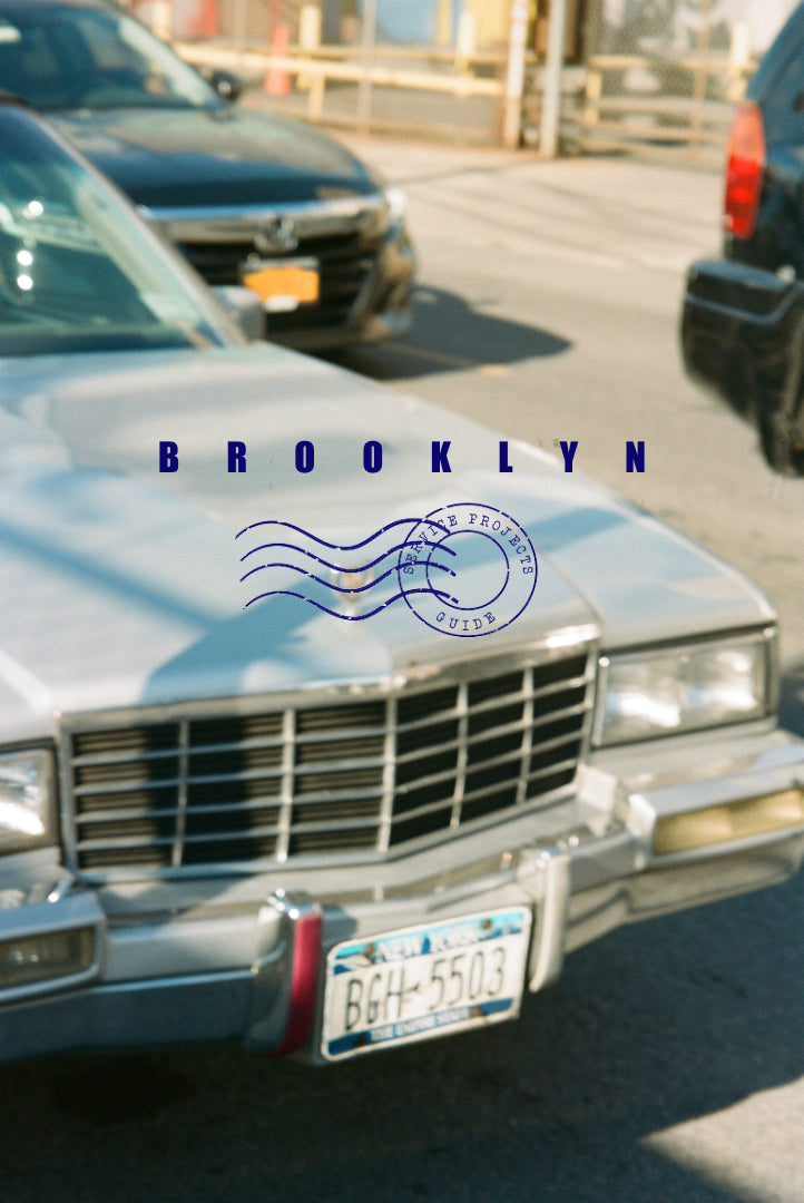 Service Projects Guide to Brooklyn