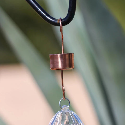 How To Keep Ants Out Of Hummingbird Feeder