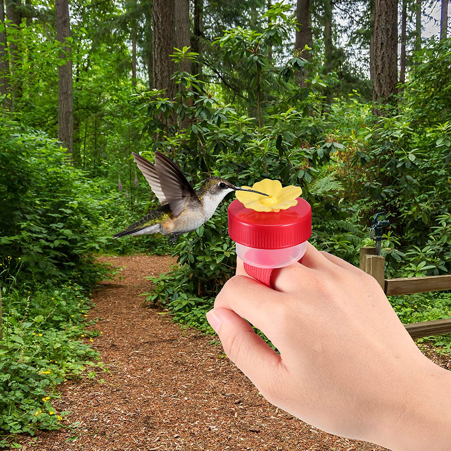 4 Hummingbird Ring Feeders