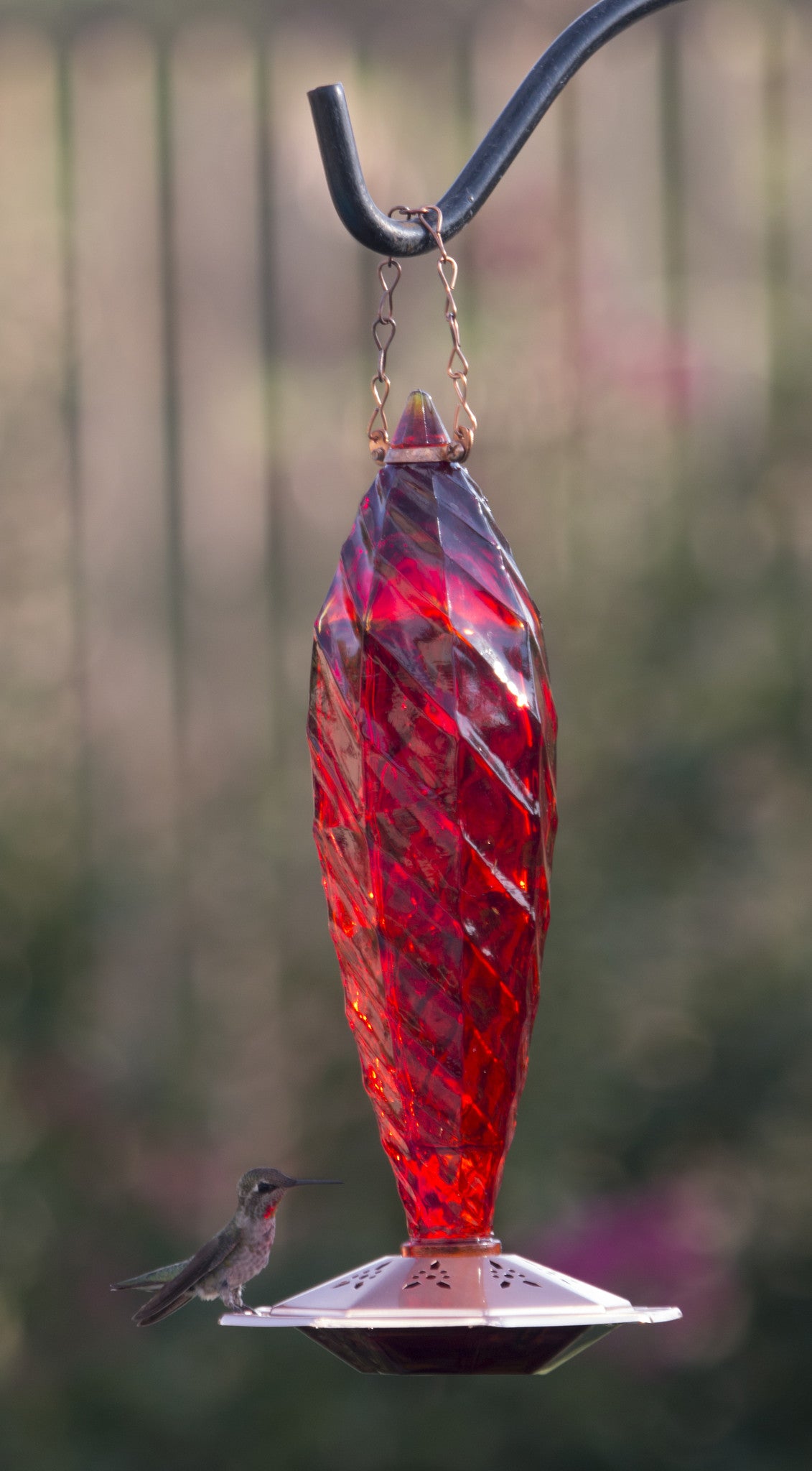 glass hummingbird feeders